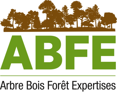 Arbre Bois ForÃªt Expertises
