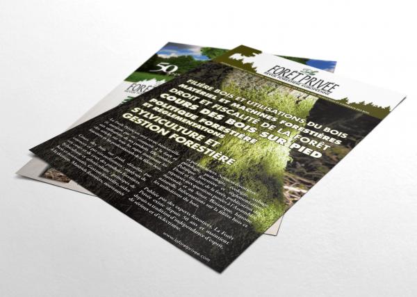 bois foret flyer 